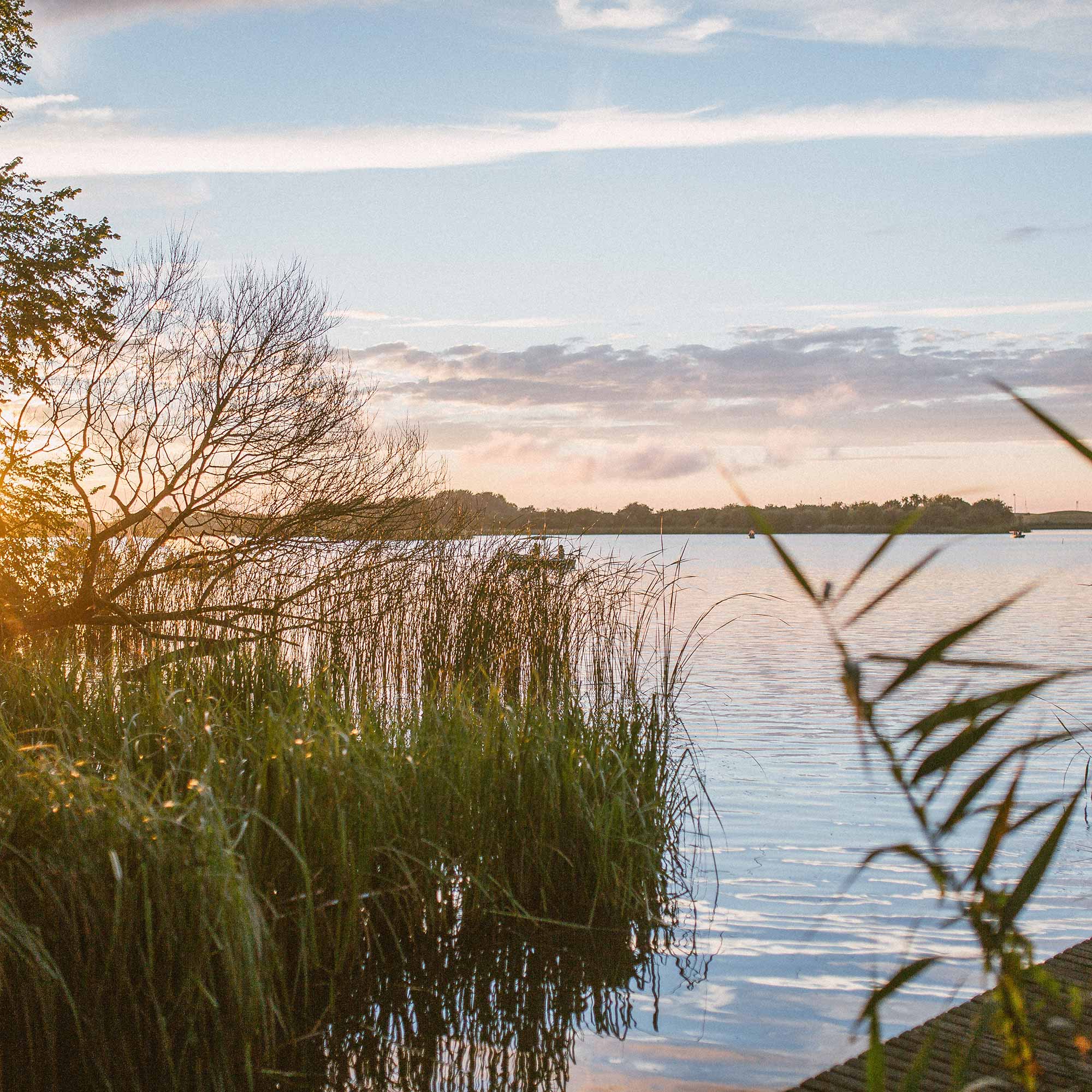Das Bild zeigt einen See in Brandenburg.
