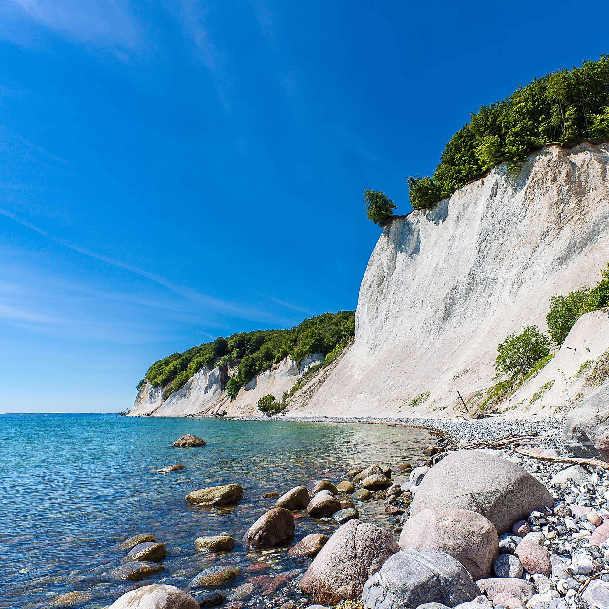 Das Bild zeigt Schafe auf einer Wiese in Mecklenburg-Vorpommern.