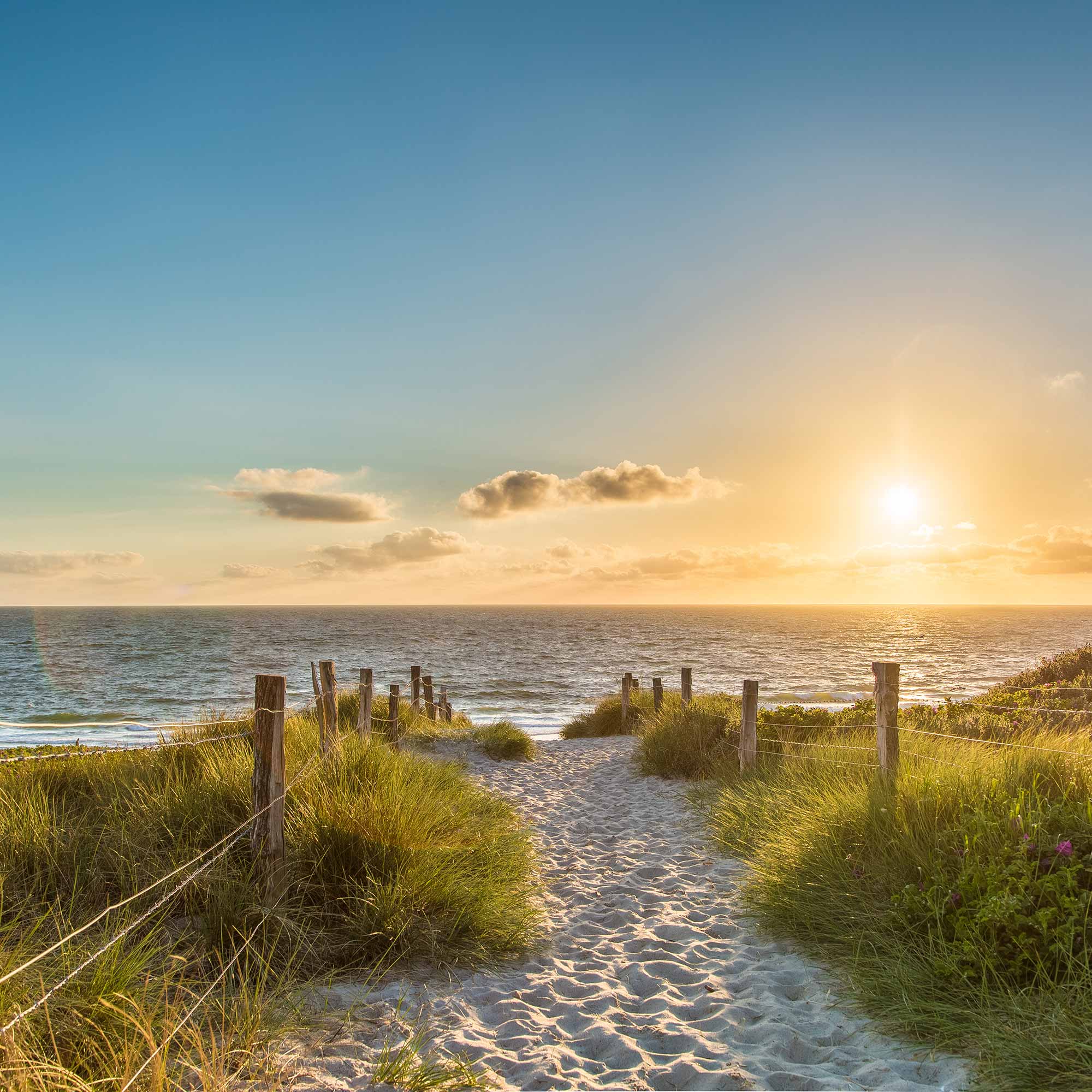 Das Bild zeigt einen Strand in Schleswig-Holstein.