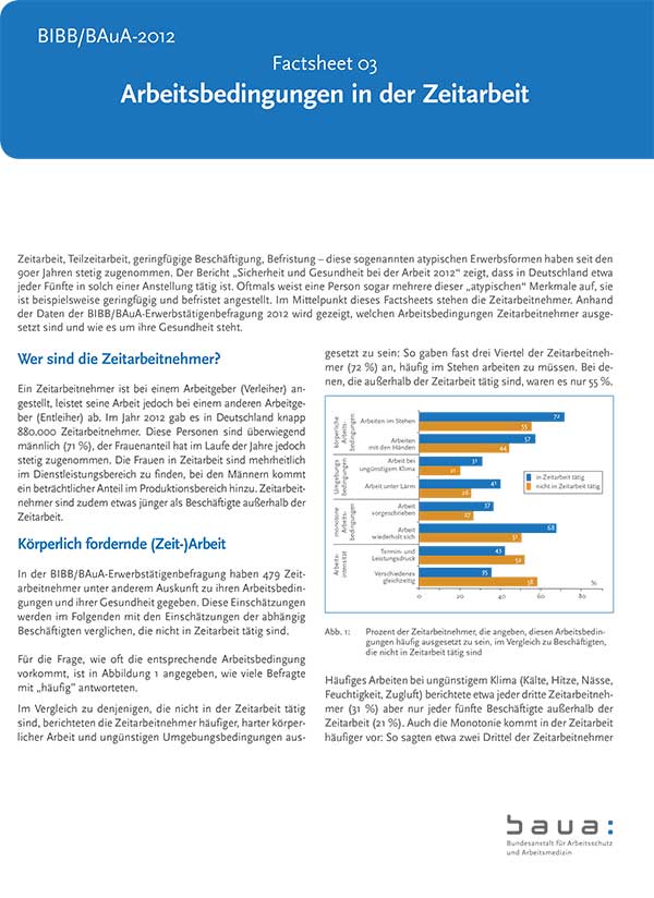 Titel der Publikation "Arbeitsbedingungen in der Zeitarbeit".